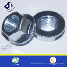 High Tensile Stainless Steel Hex Flange Nut